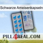 Black Ant Capsules new15
